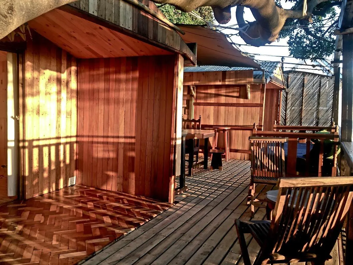 Scarborough Nature Lodge ケープタウン