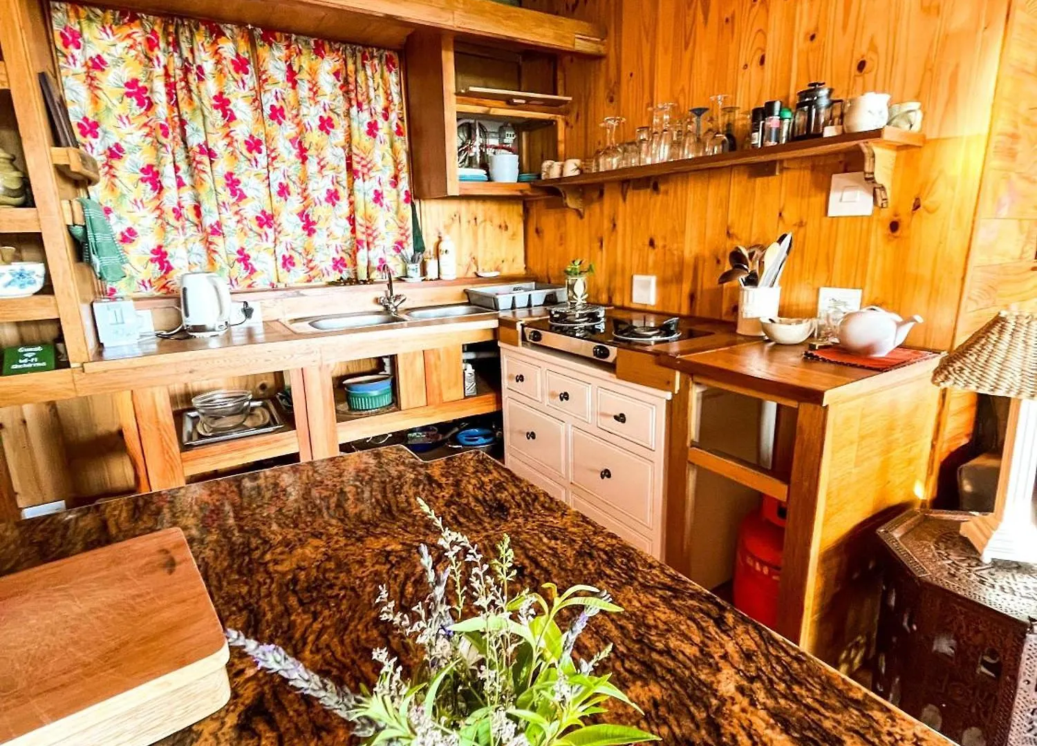 Scarborough Nature Lodge ケープタウン 南アフリカ