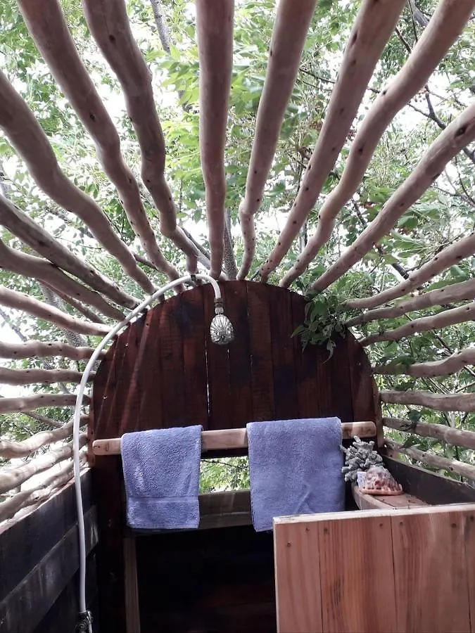 Scarborough Nature Lodge ケープタウン